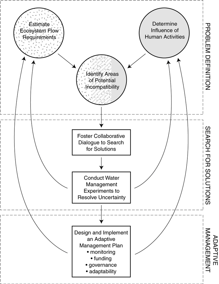 Flowchart of the research and management process of the BWRCSC