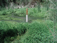 Photo of a USGS stream gage near Parker, Arizona.