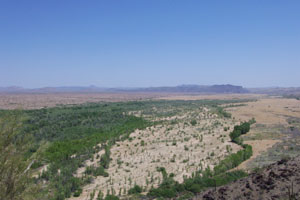 Photo of a valley reach (Photo courtesy of P. Shafroth)
